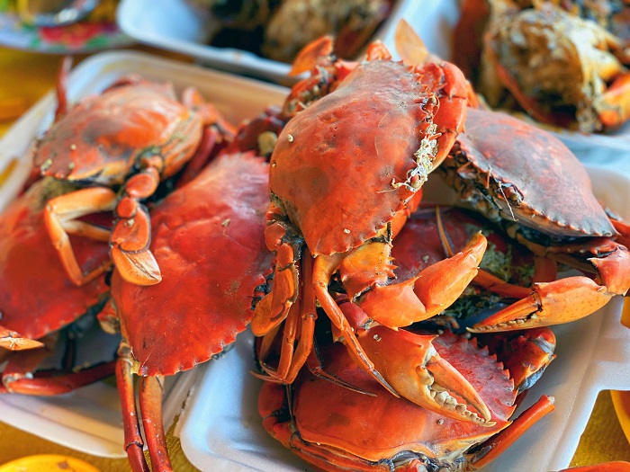 bãi tắm thủy tiên vũng tàu