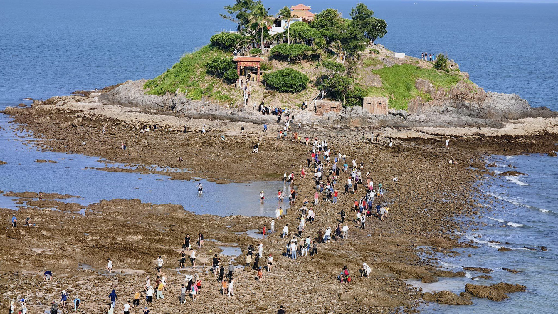 thành phố biển vũng tàu