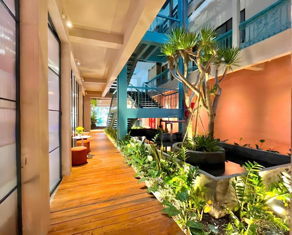 khách sạn vũng tàu