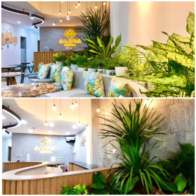 khách sạn vũng tàu